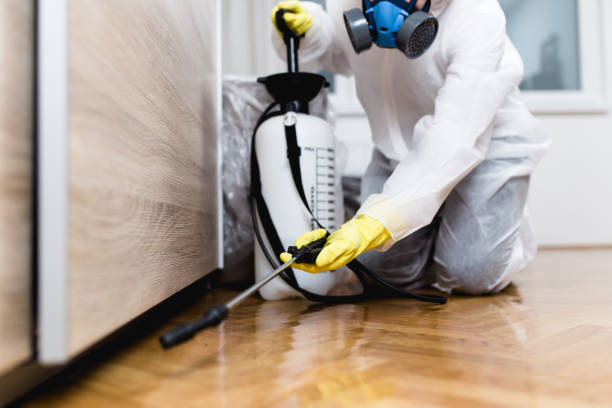 Best Affordable Pest Control Services  in Edna, TX