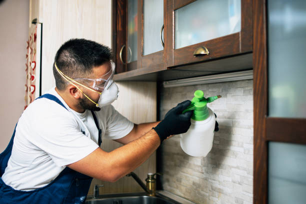 Best Affordable Pest Control Services  in Edna, TX