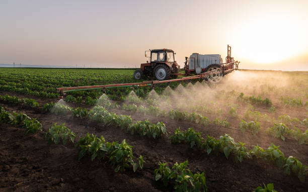 Best Pest Inspection Near Me  in Edna, TX