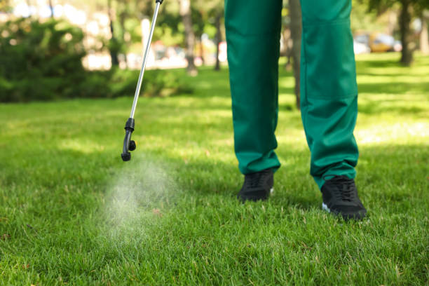 Best Local Pest Control Services  in Edna, TX