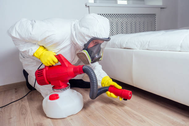 Best Wasp Removal Services  in Edna, TX