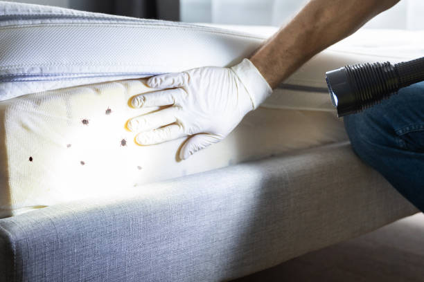 Best Pest Prevention Services  in Edna, TX