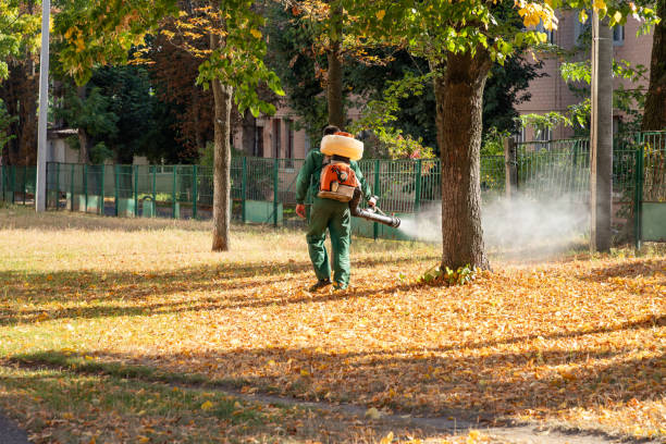 Pest Prevention Services in Edna, TX