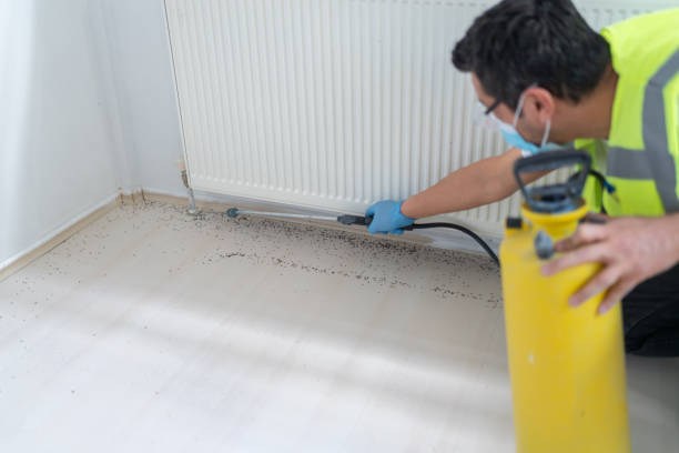 Best Pest Inspection Near Me  in Edna, TX